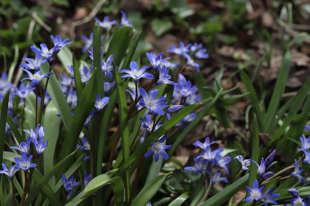 Photograph by Дубина Леонид