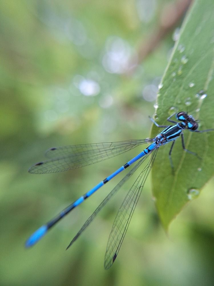 Photograph by Ольга Мольдон