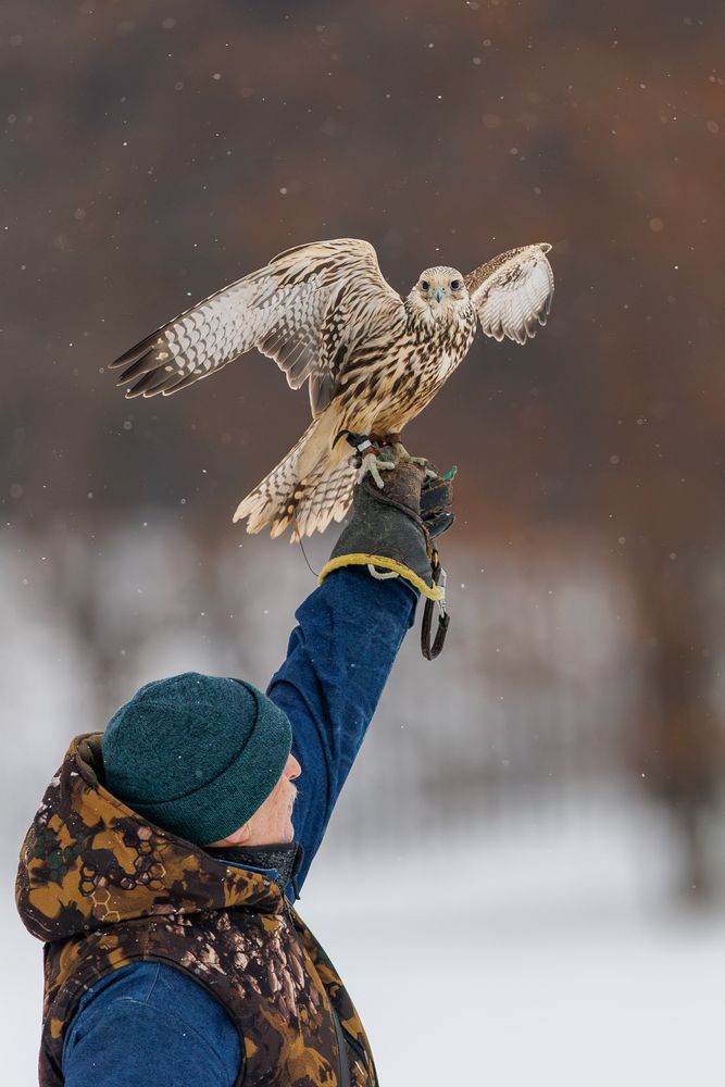 Photograph by Антон Науменко