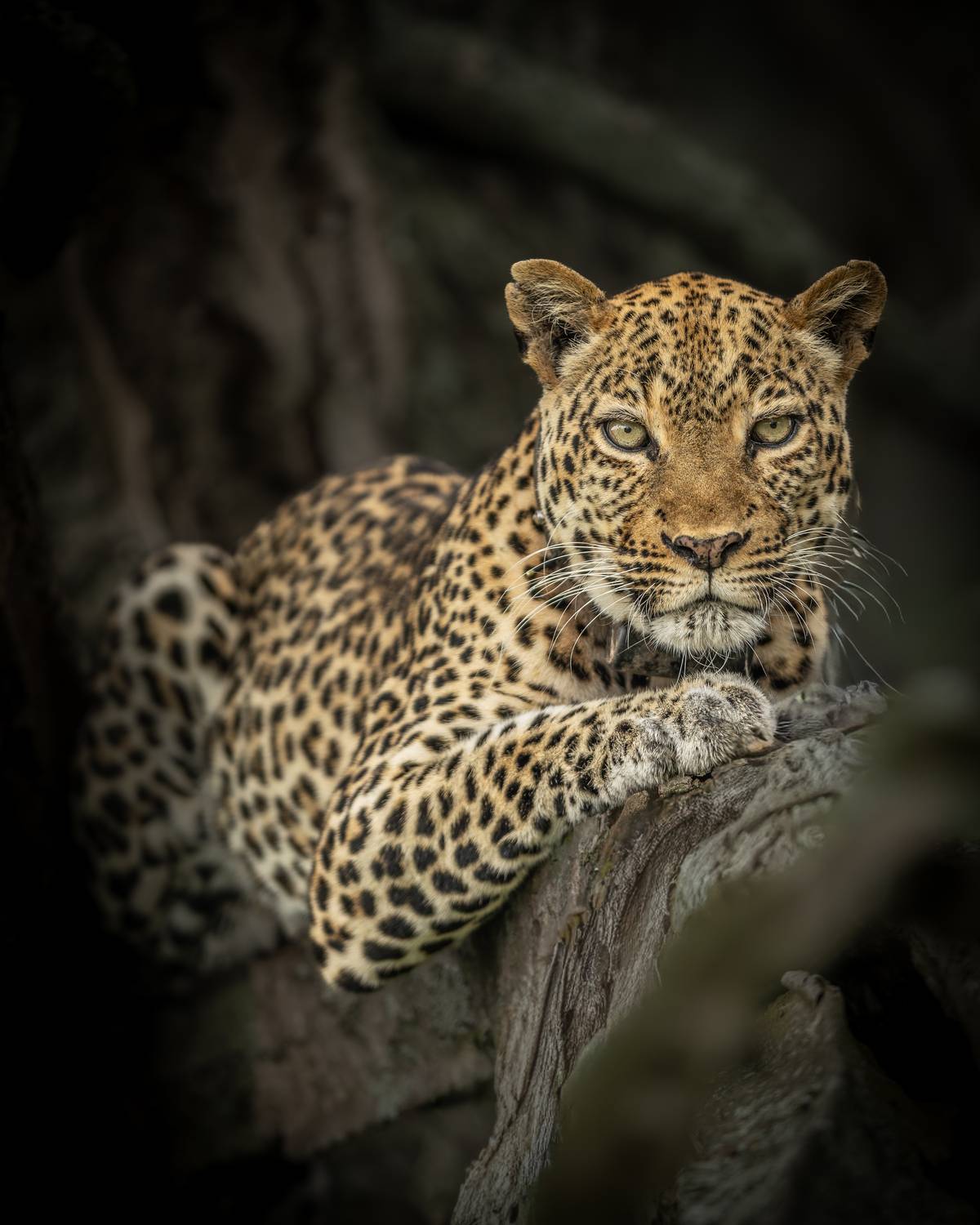 Фотография #13178672