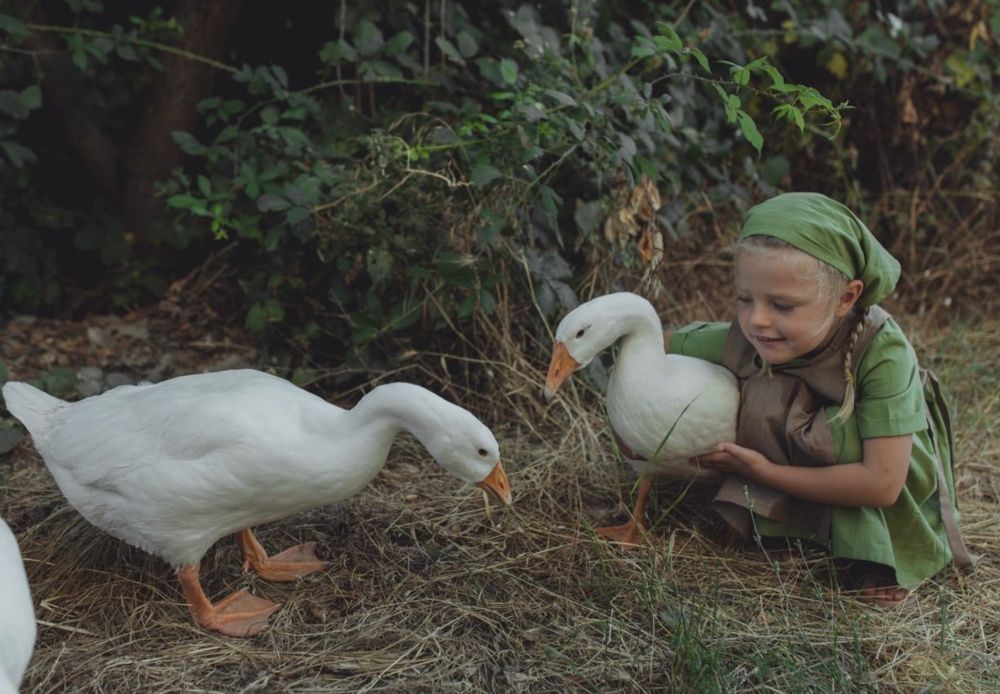 Photograph by Татьяна Леванова