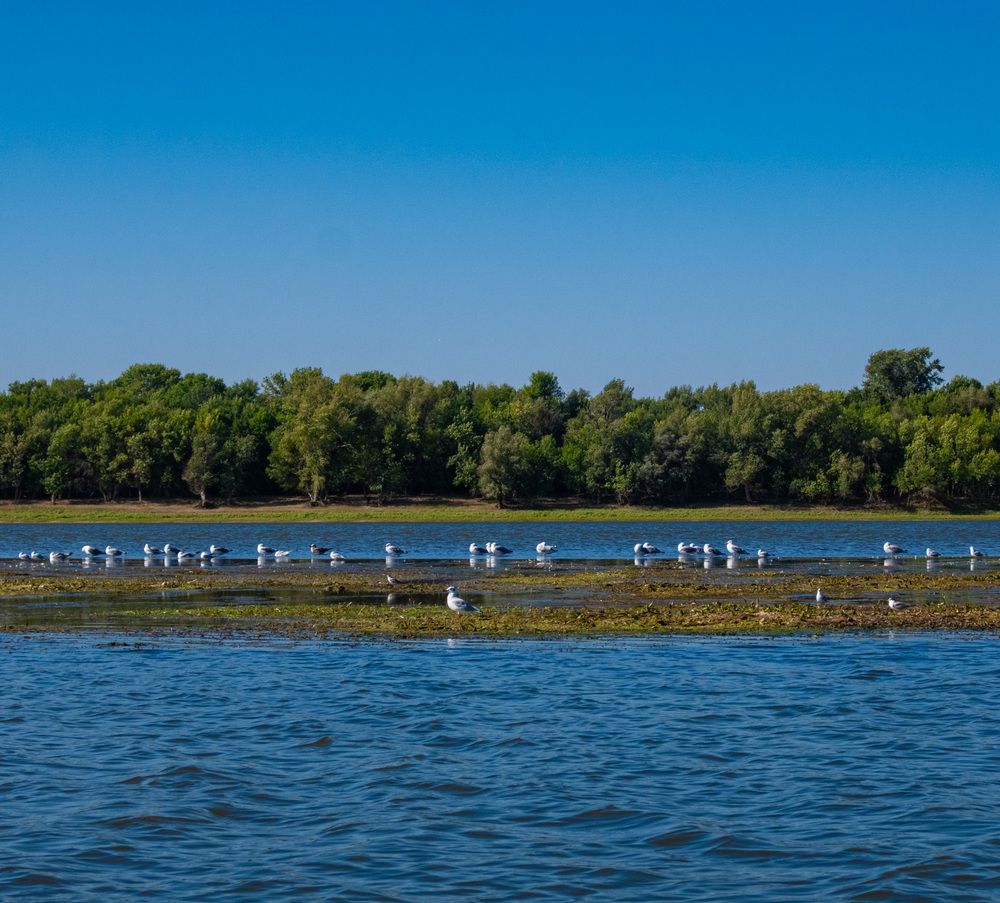 Photograph by Сергей Щербаков