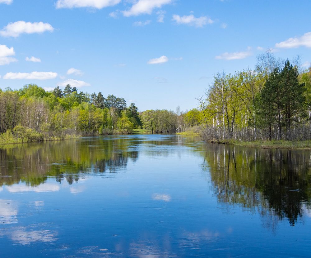 Photograph by Сергей Щербаков