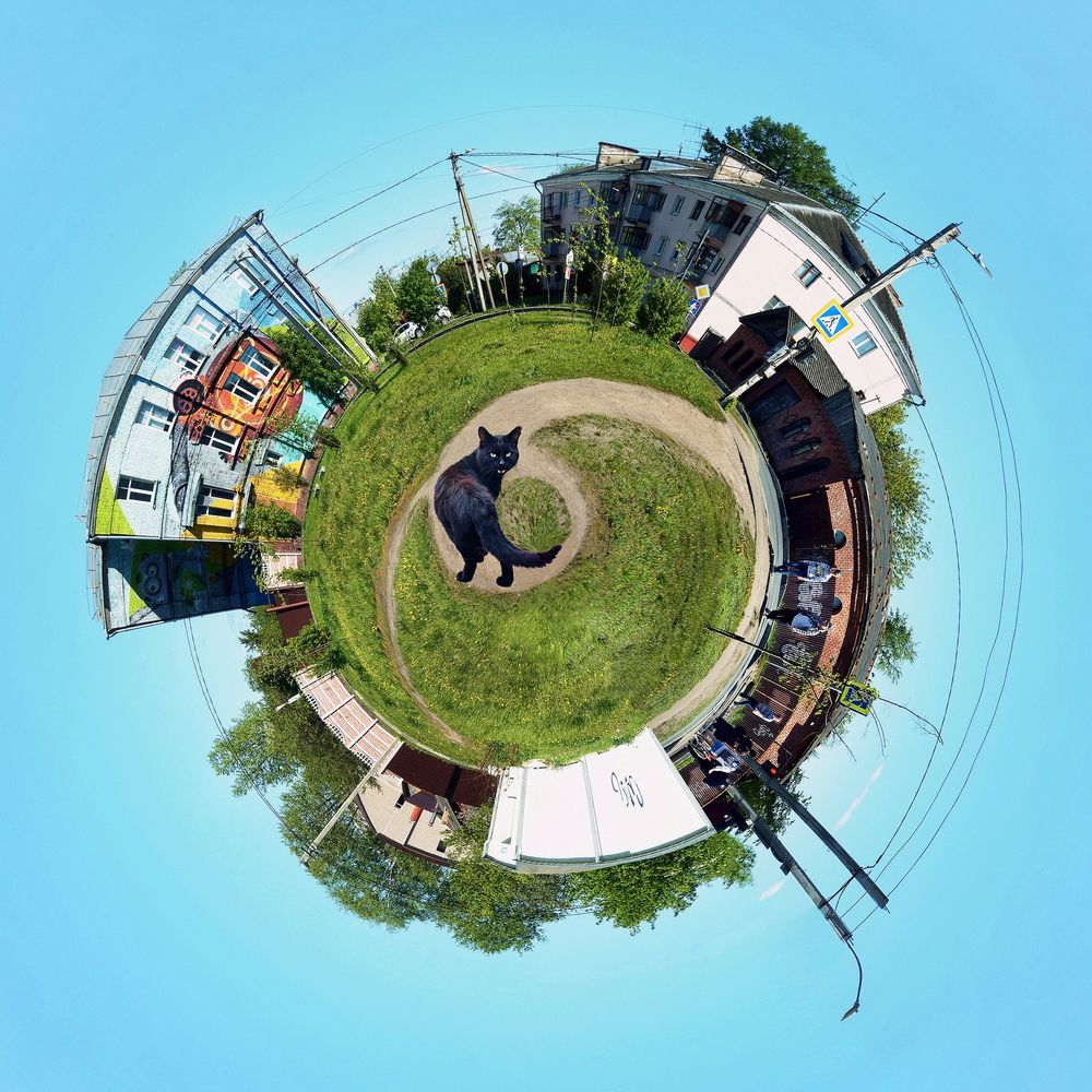 Фотография автора Е лена Е