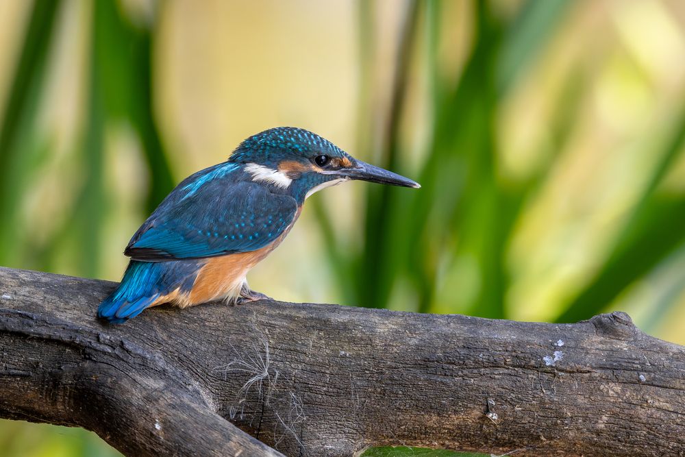 Photograph by Антон Науменко