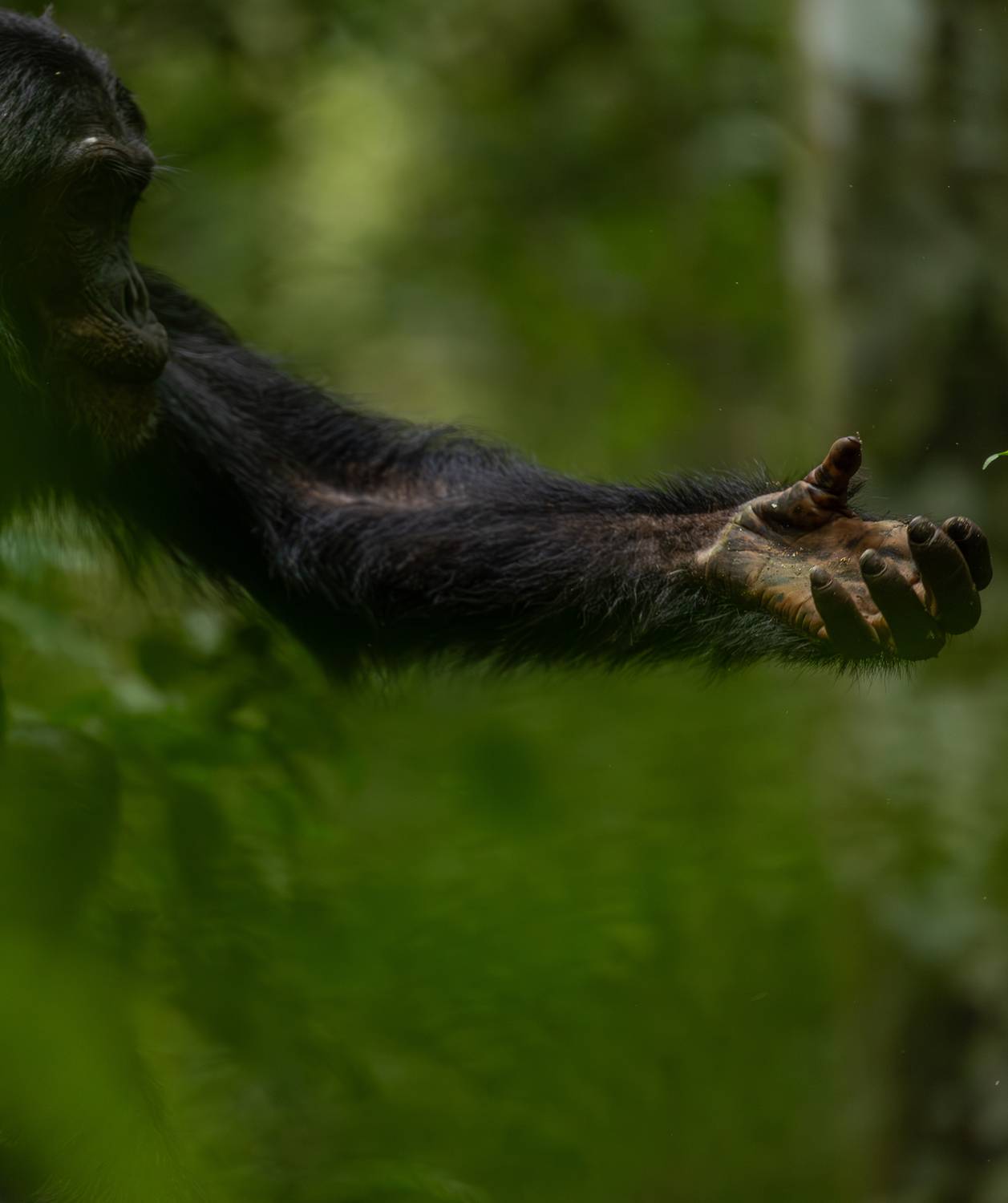 Фотография #13178728