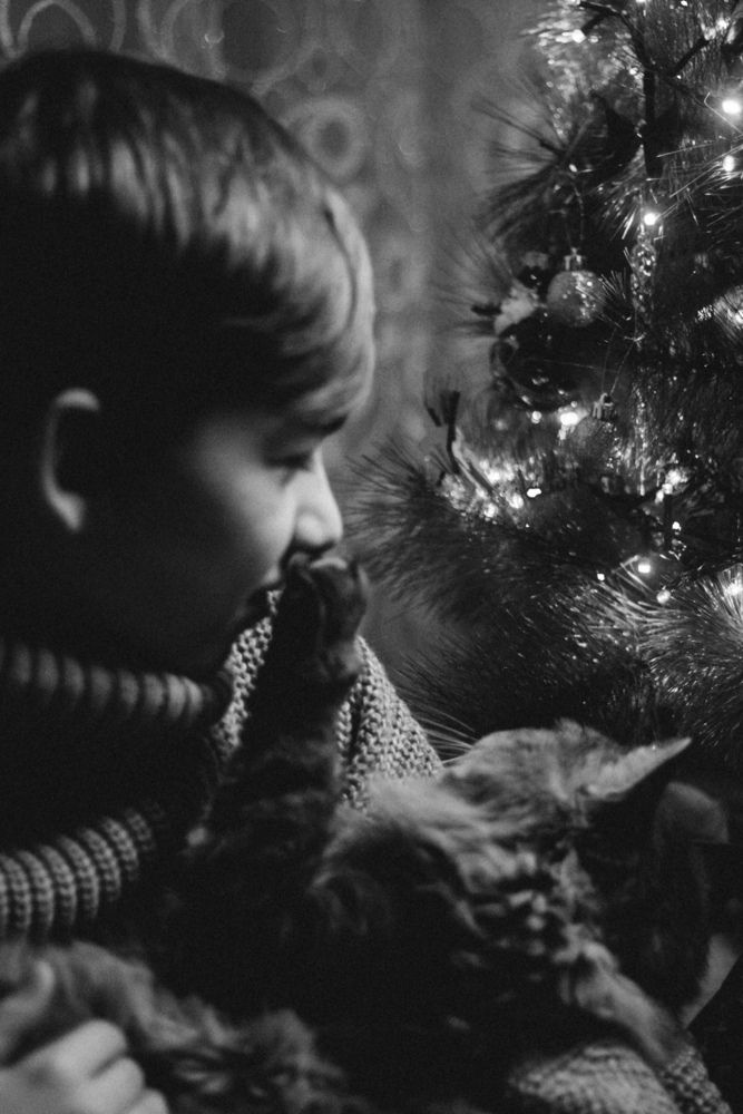 Photograph by Ольга Денисова