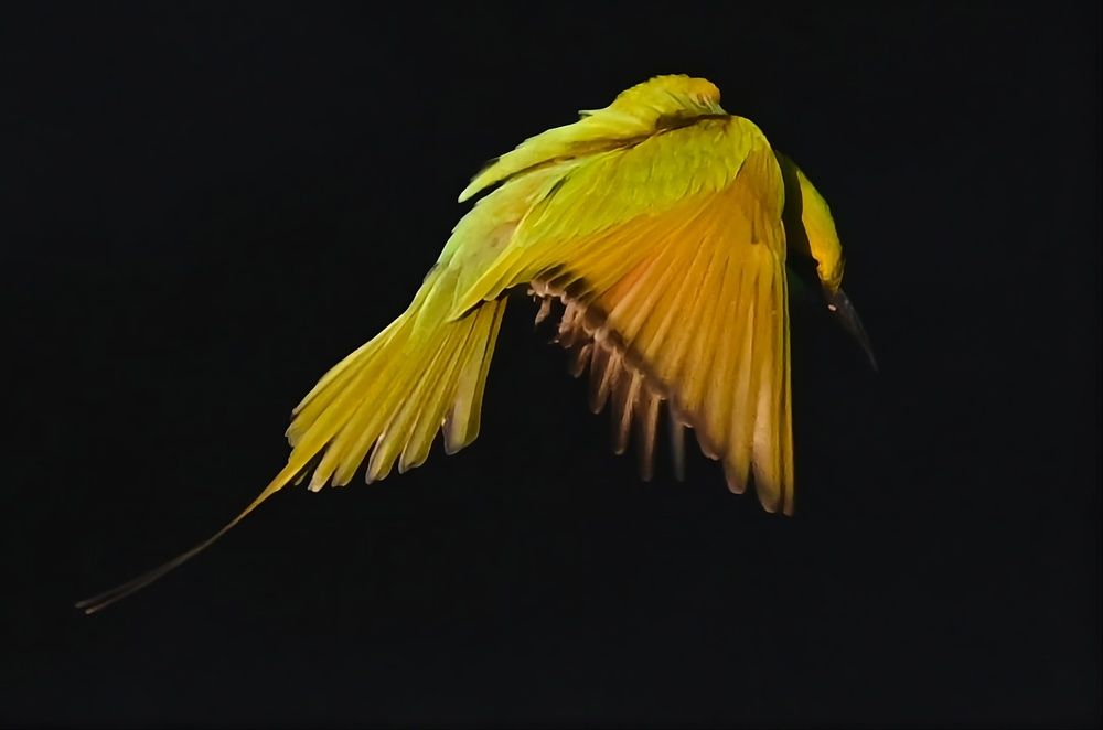 Photograph by Avani Shukla