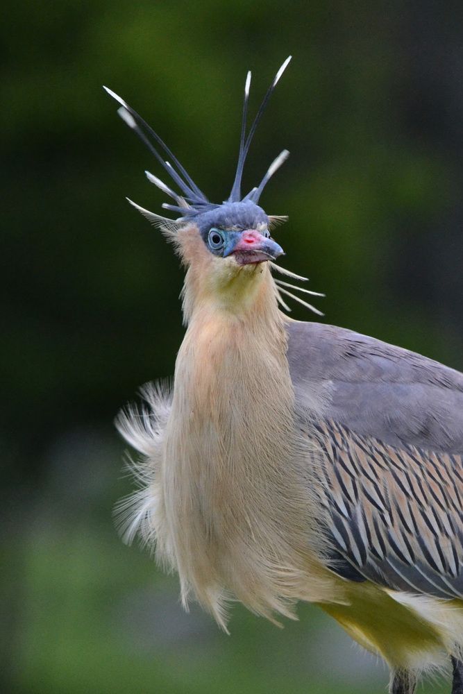 Фотография автора Cecilia Ducrey