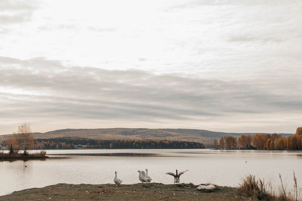 Photograph by Яна Тарасова