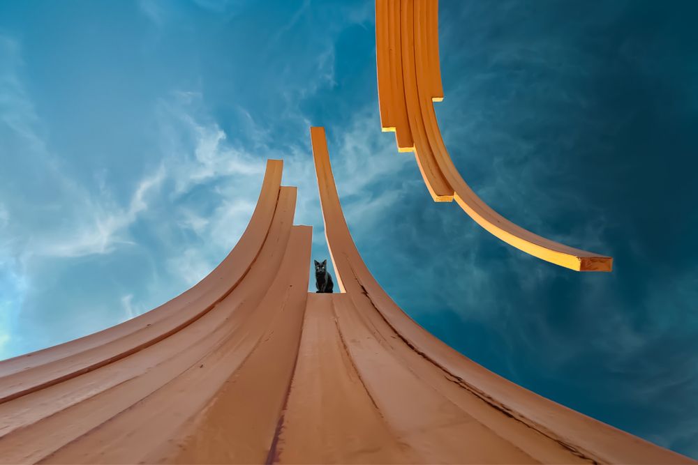 Фотография автора namo