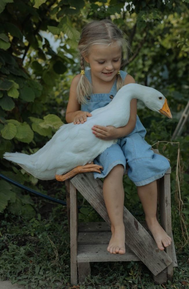 Photograph by Татьяна Леванова