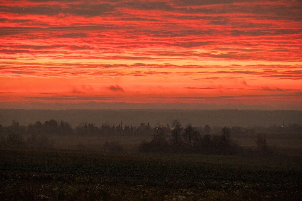 Photograph by Еловик Валерий