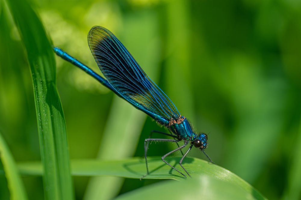 Photograph by Александра Плискова