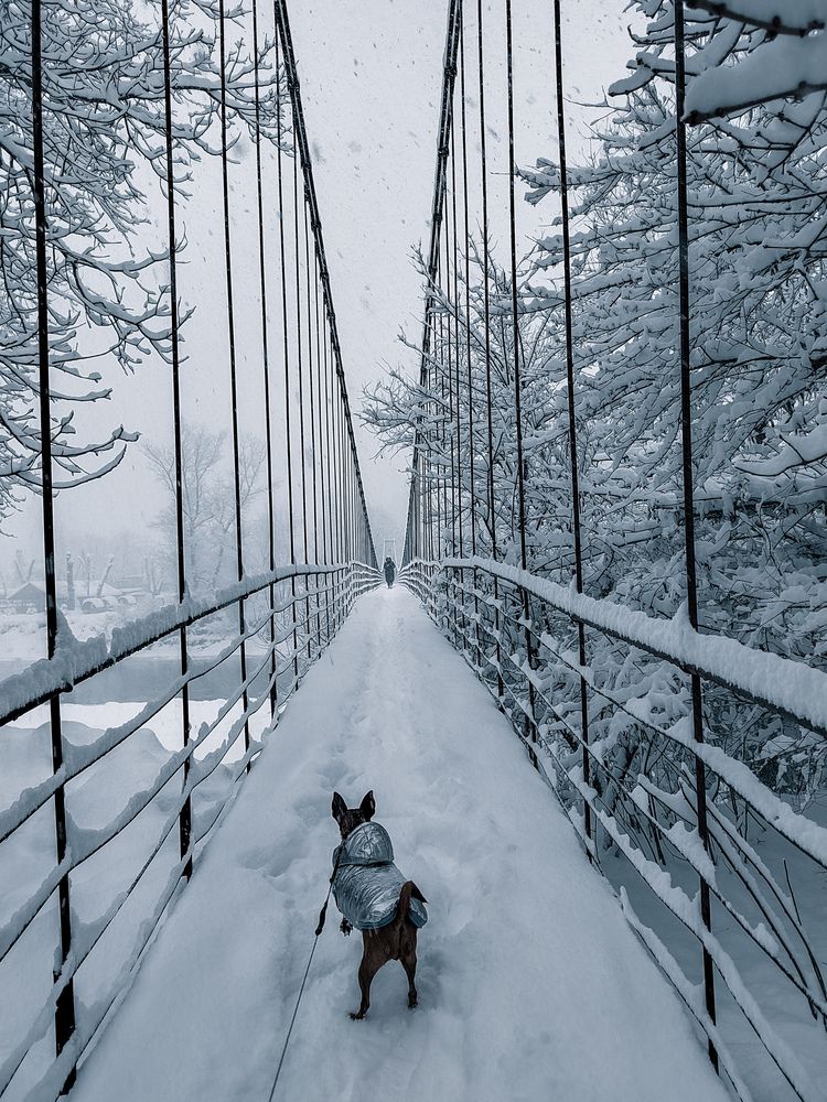 Фотография автора Наталья Королева