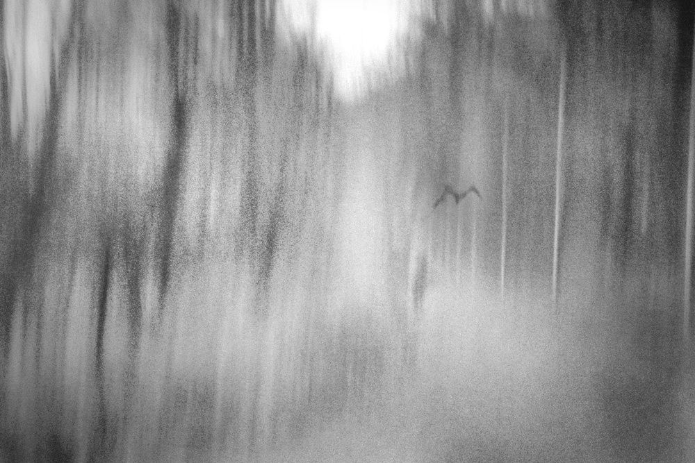 Photograph by Инна Карасева