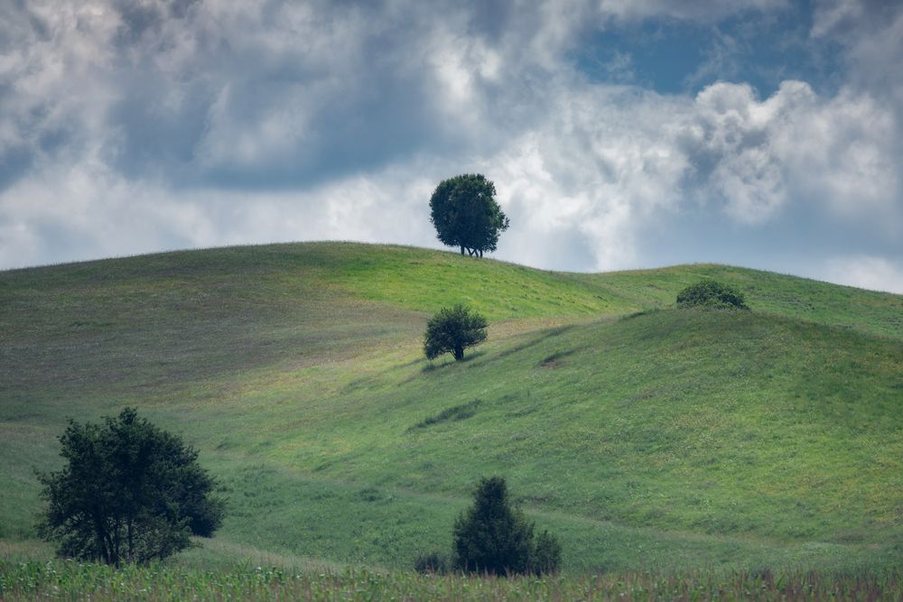 Фотография автора Константин Яковлев