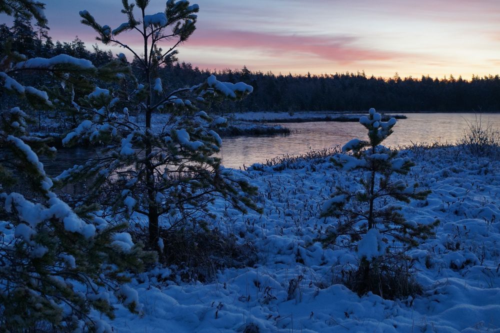 Photograph by Лена Максимкина