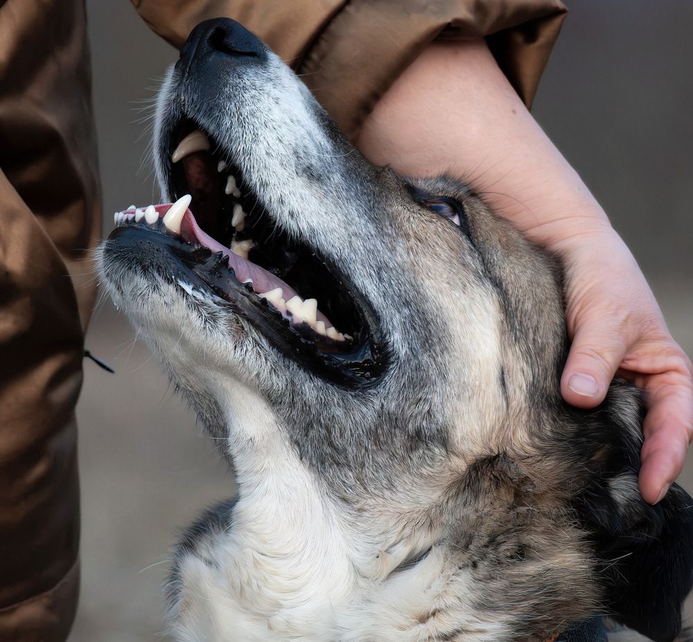 Photograph by Ворожцова Марина