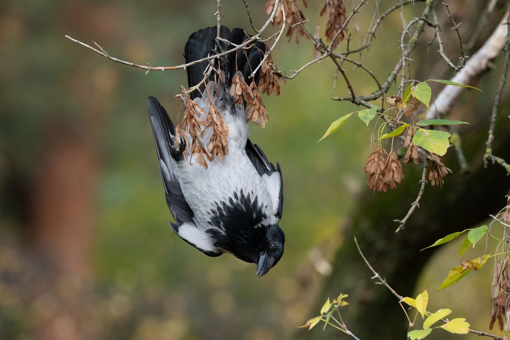 Photograph by Сергей Цуканов