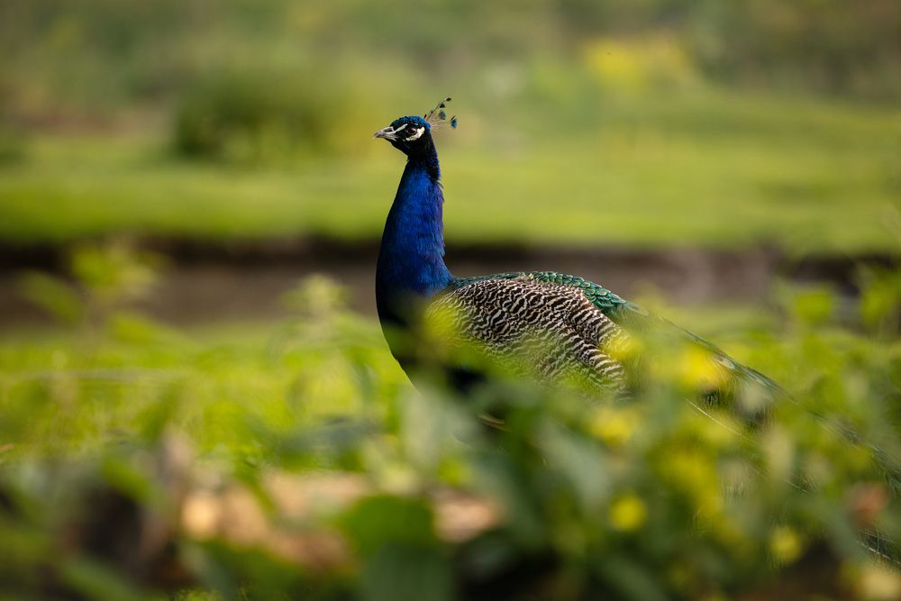 Photograph by Вера Якушева