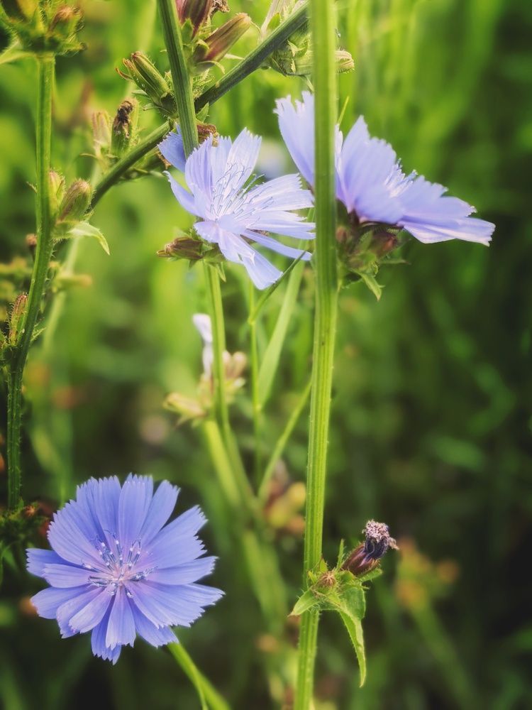 Photograph by Анна Якубинас