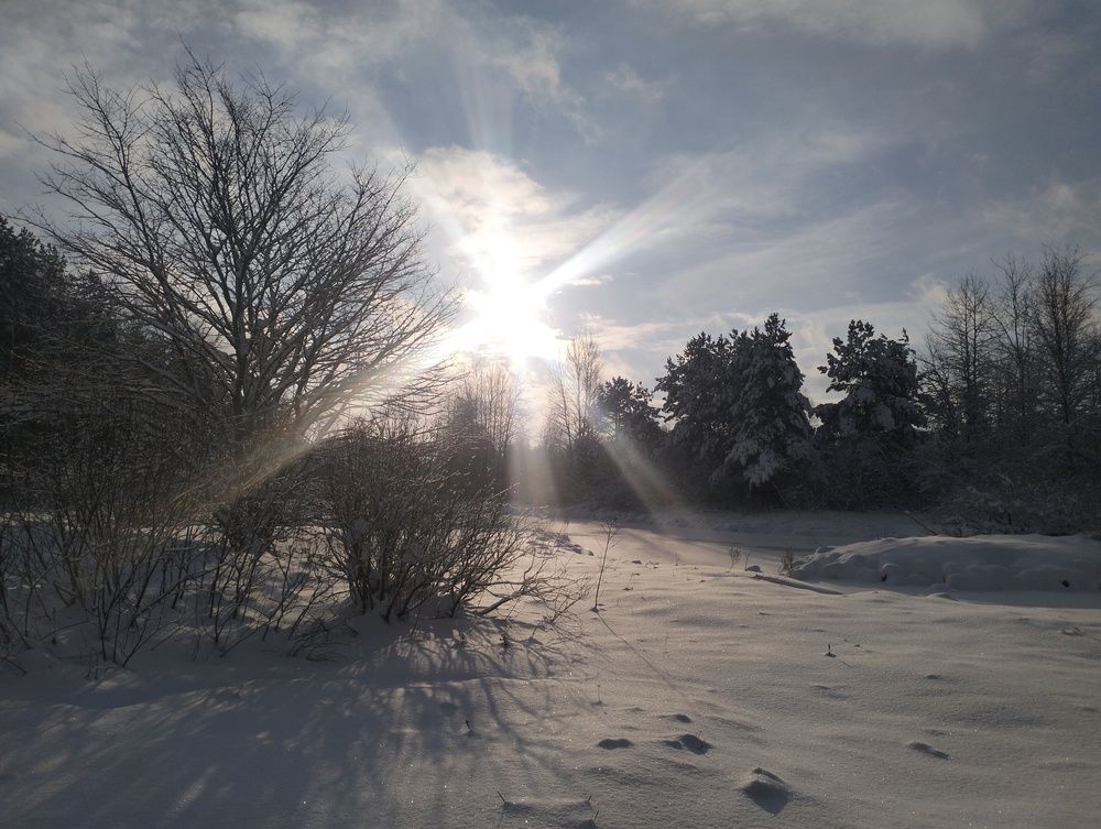 Photograph by Svetlana Aleks