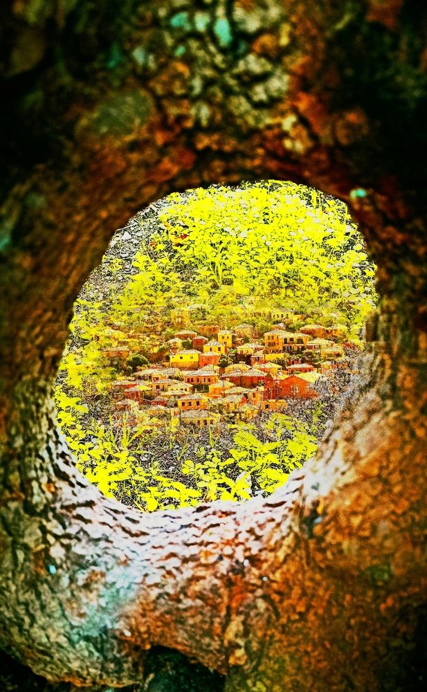 Photograph by Myrsini Charalampidou