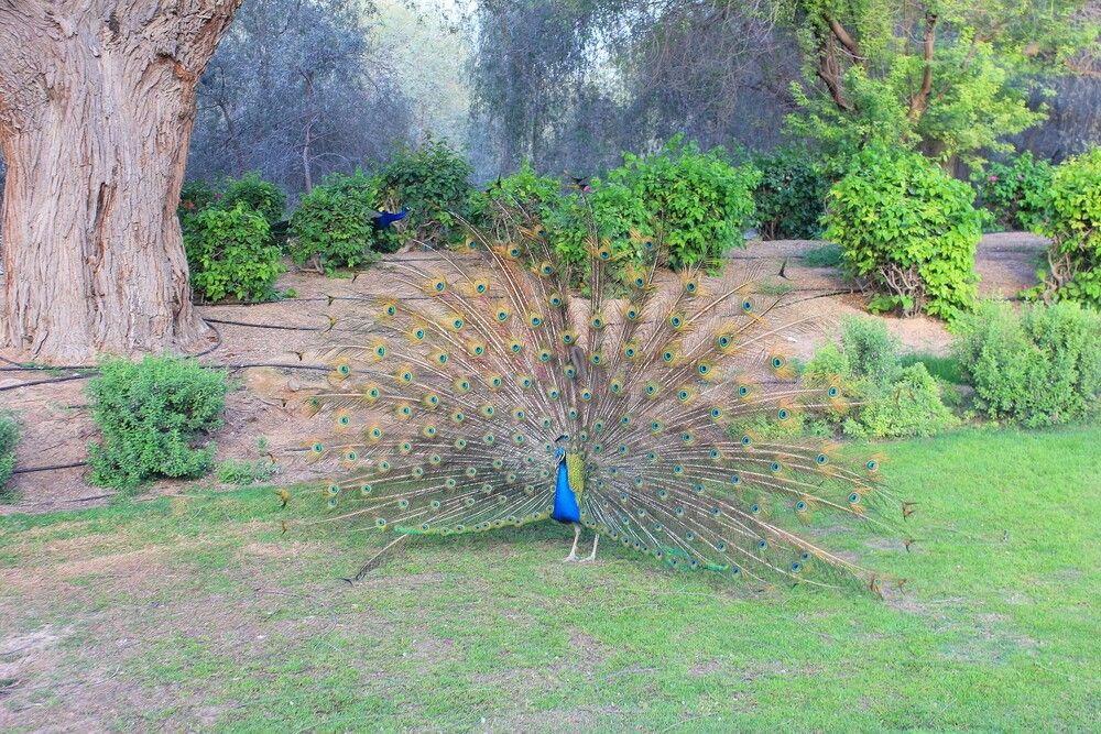 Photograph by Елена Поспелова