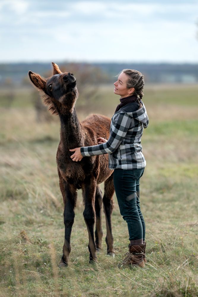 Photograph by Zsuzsanna Kata Fürstné Horváth