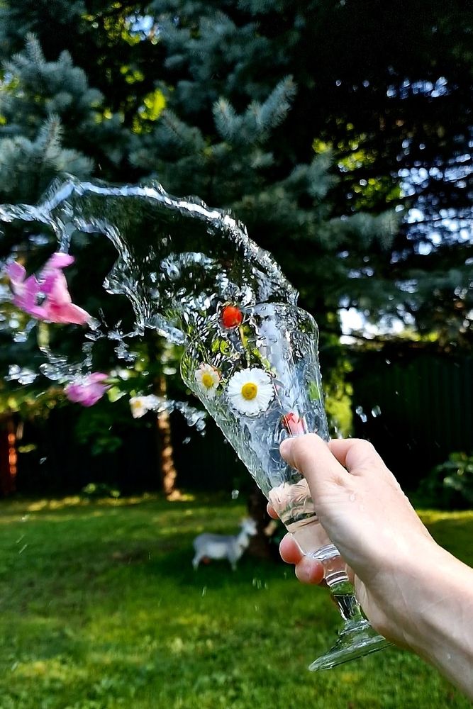 Фотография автора Maria Yakovleva