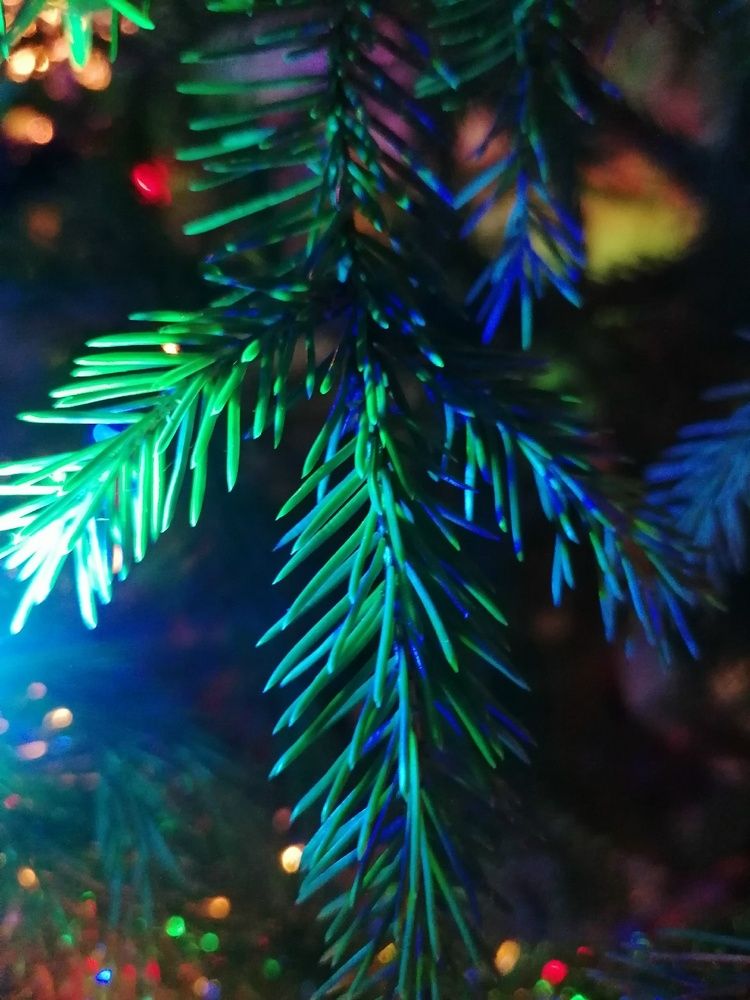 Фотография автора Галина Пылаева