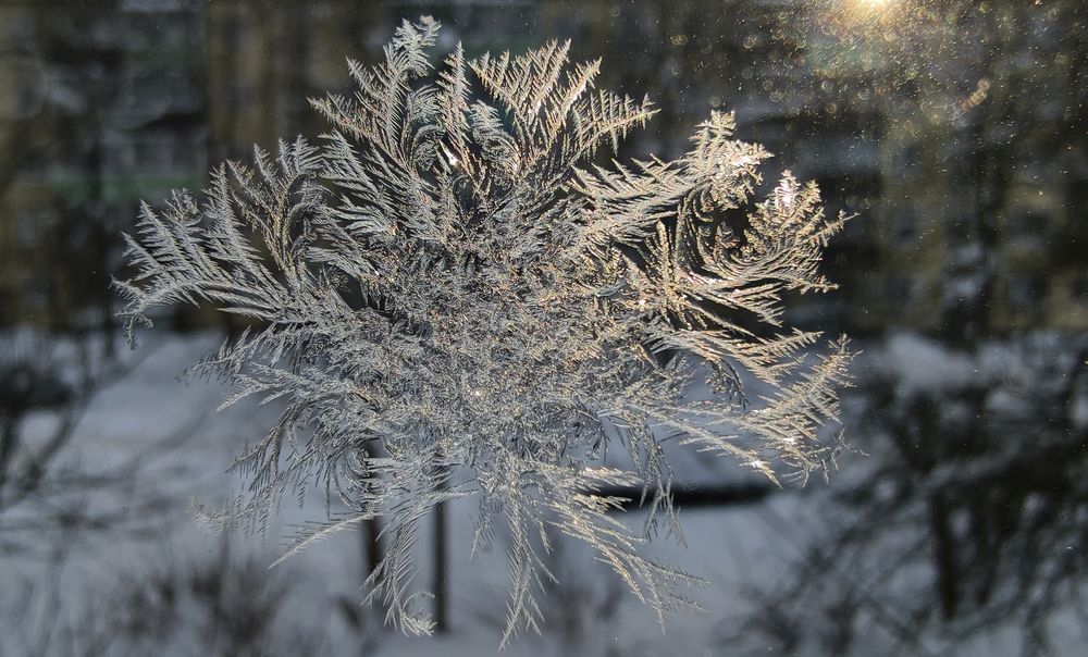 Photograph by Julia Savelkina