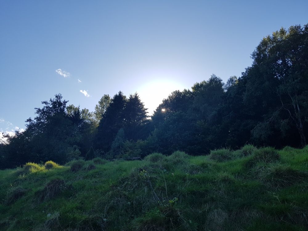 Photograph by Blue Eyes