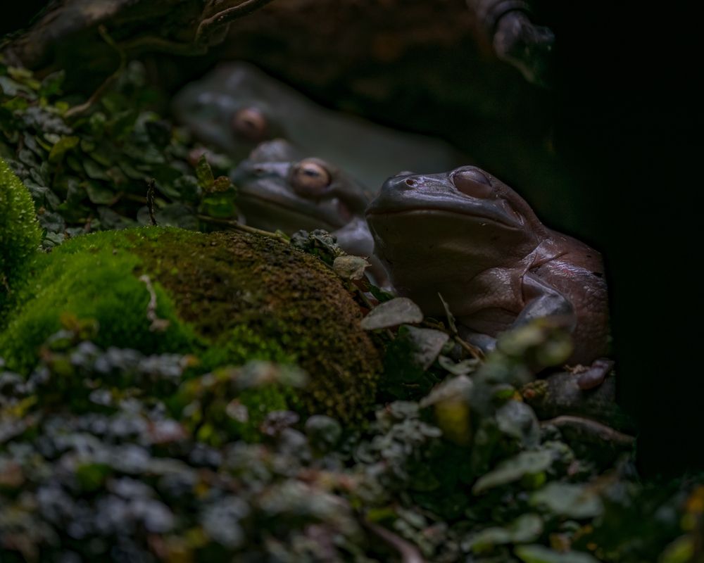 Photograph by Макс Полюхович
