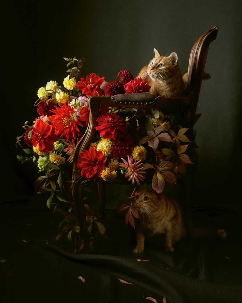 Фотография автора Марина Красовская