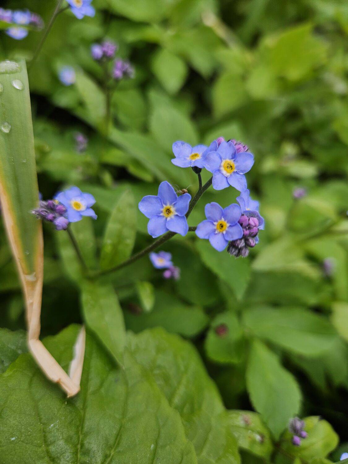 Фотография #13179208