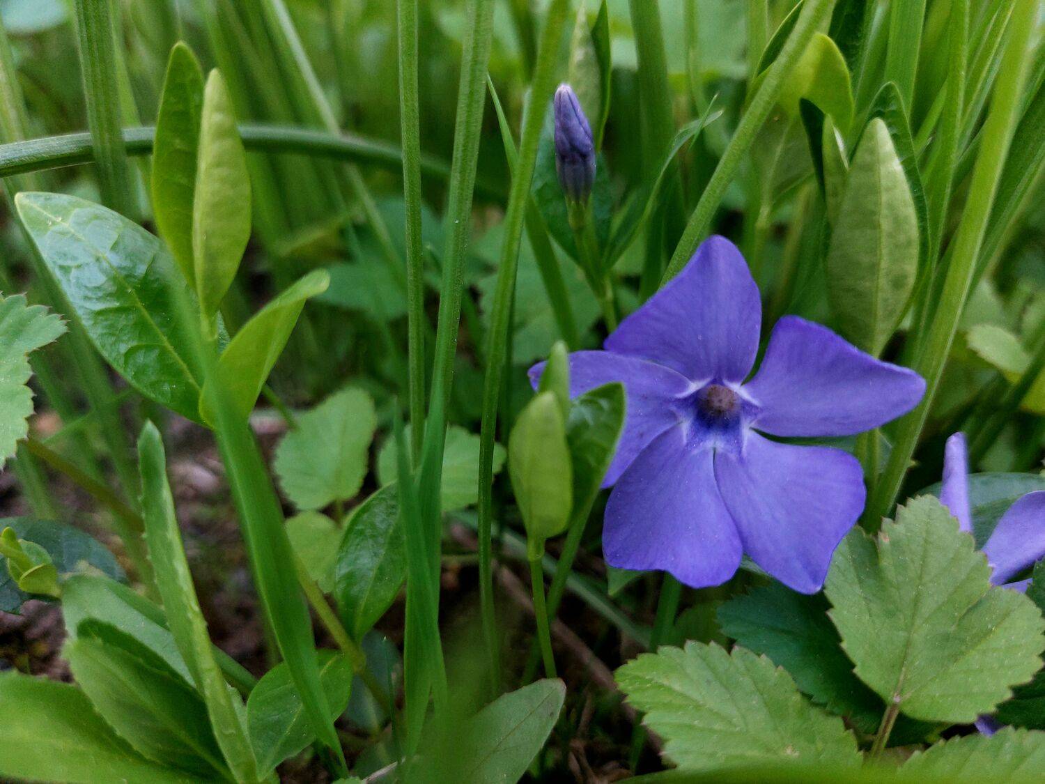 Фотография #13179209