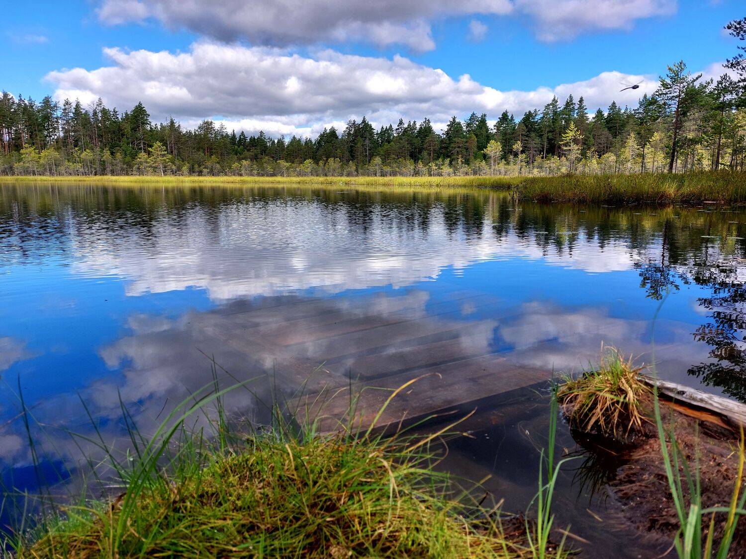 Фотография #13179210