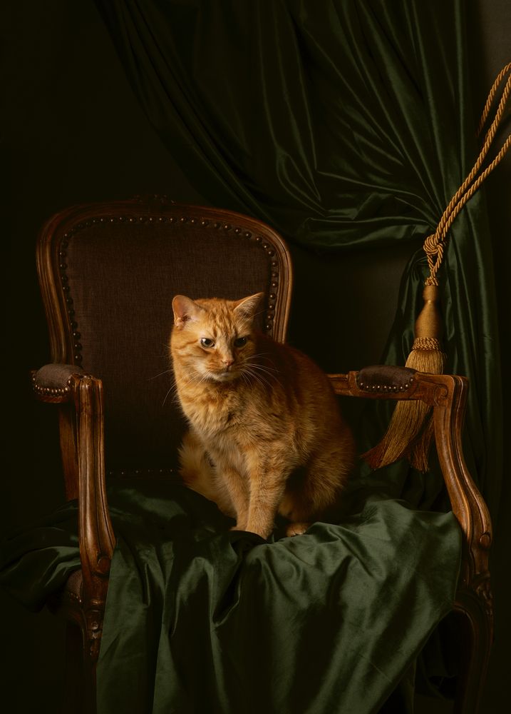Фотография автора Марина Красовская