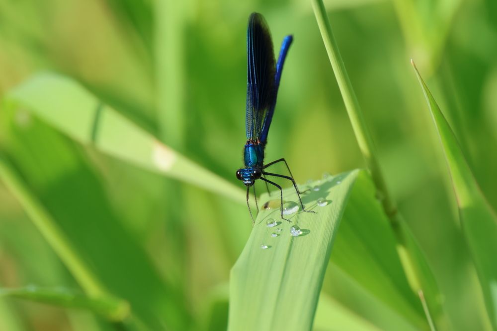 Photograph by Сергей Кубасов