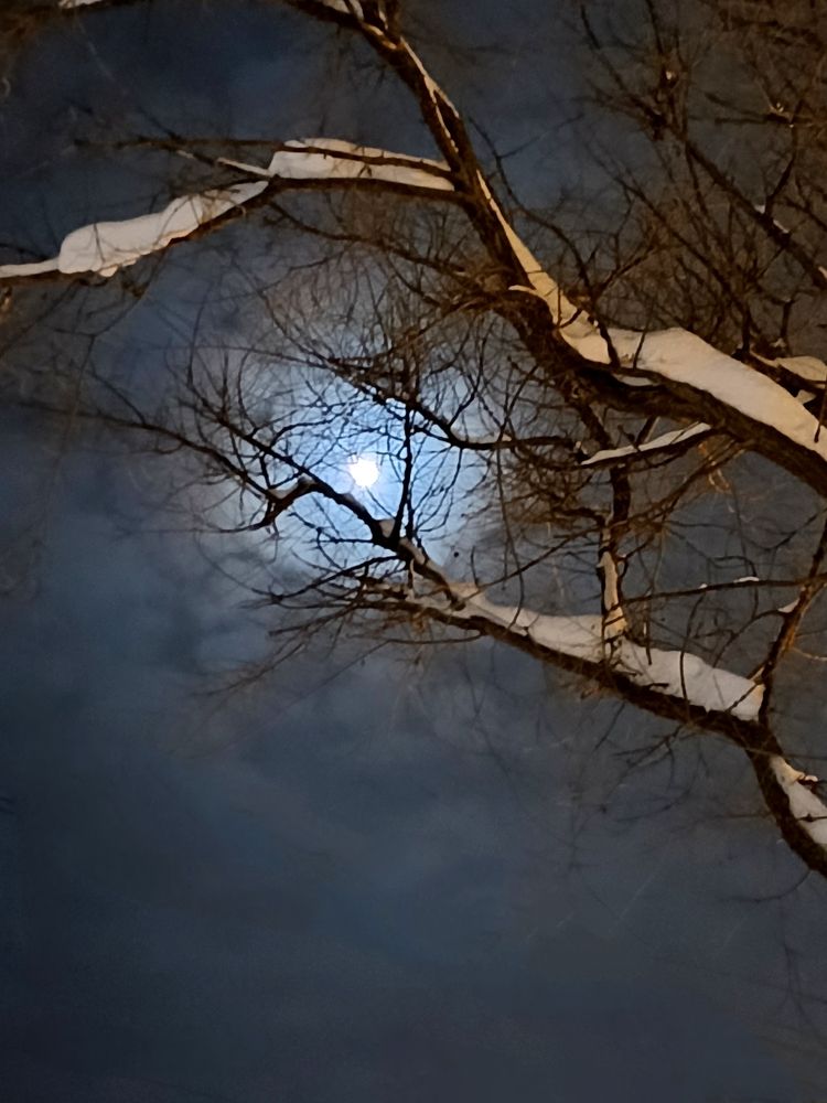 Photograph by ЮЛИЯ ОБРОКОВА