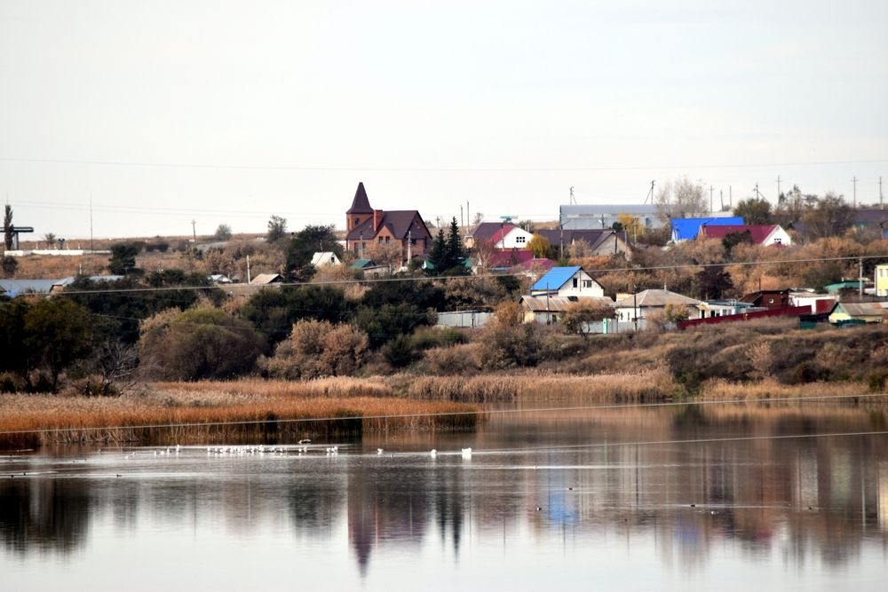 Photograph by Дарья Шуклина