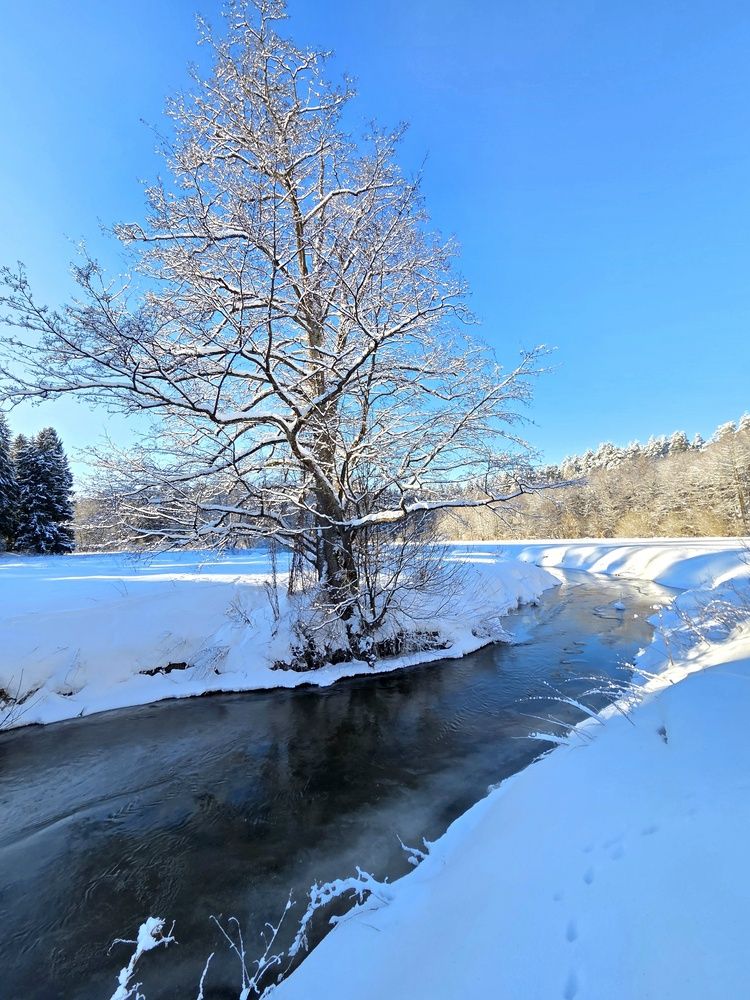 Фотография автора Elena Polonetskaya