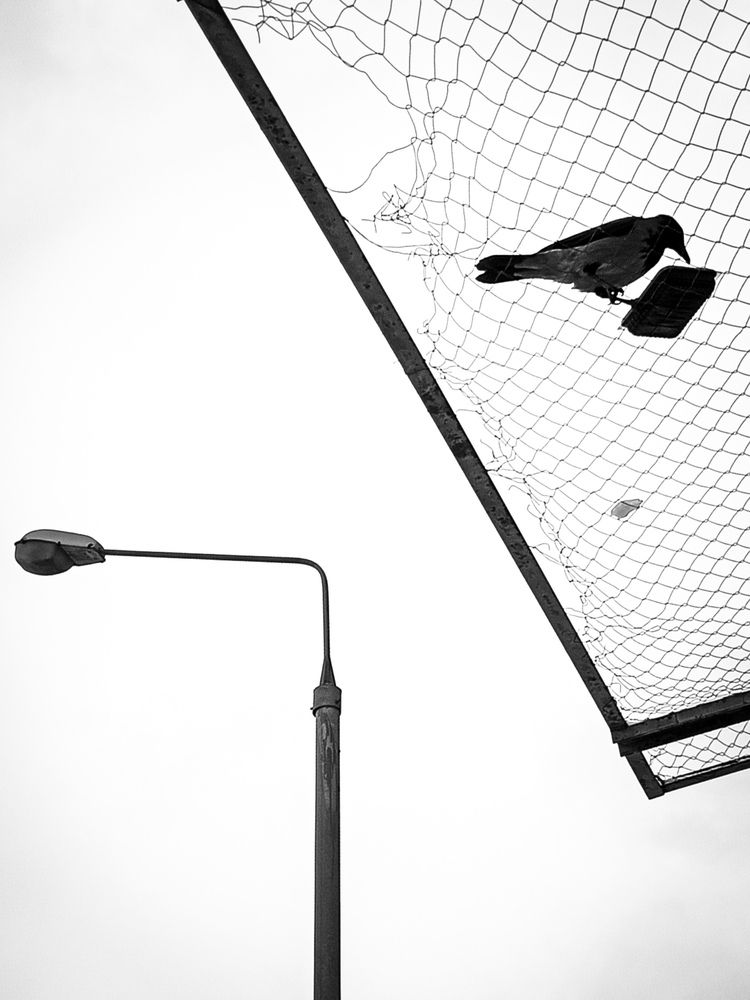 Photograph by Денис Бородич