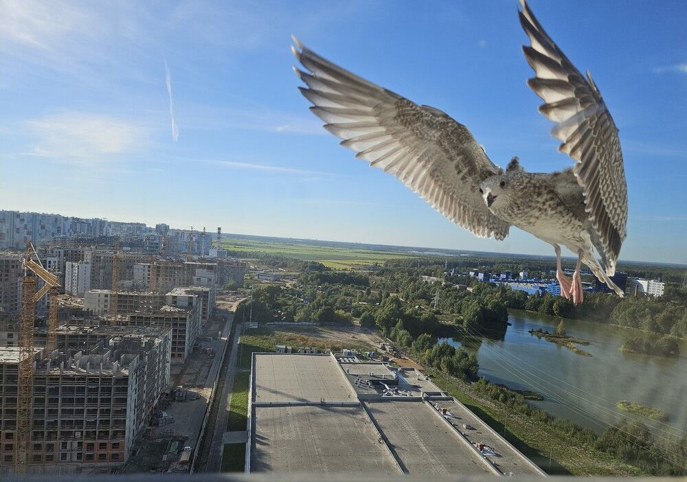 Photograph by Daria Makaidenko