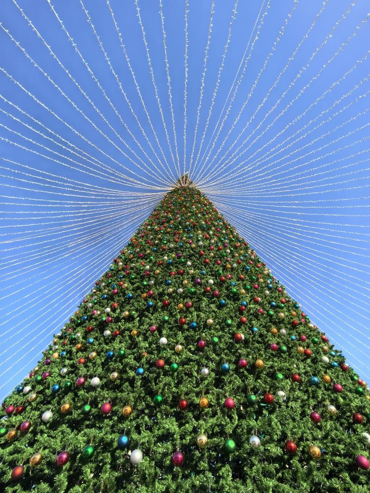 Фотография автора Кривенко Владимир