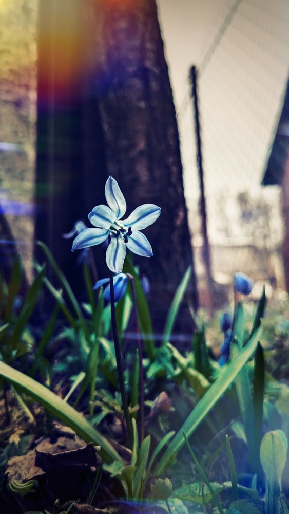 Photograph by Ирина Багдасарова