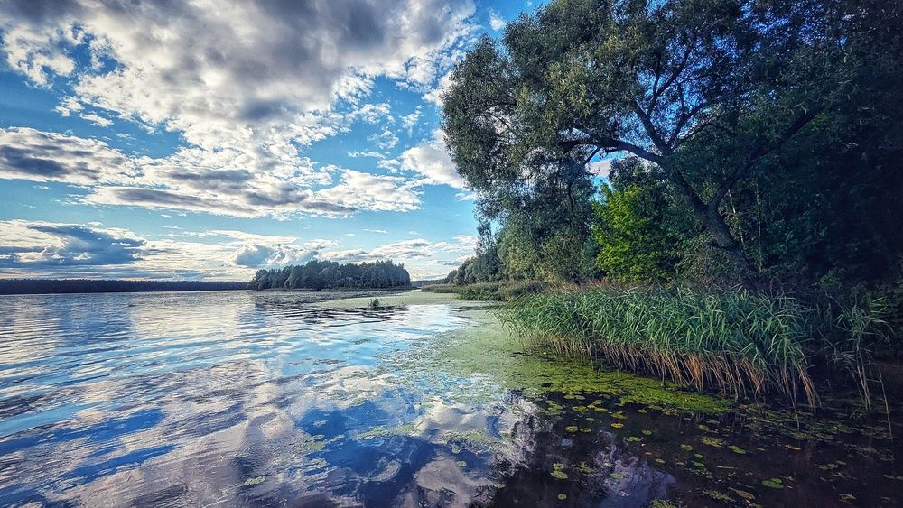 Photograph by Ирина Багдасарова