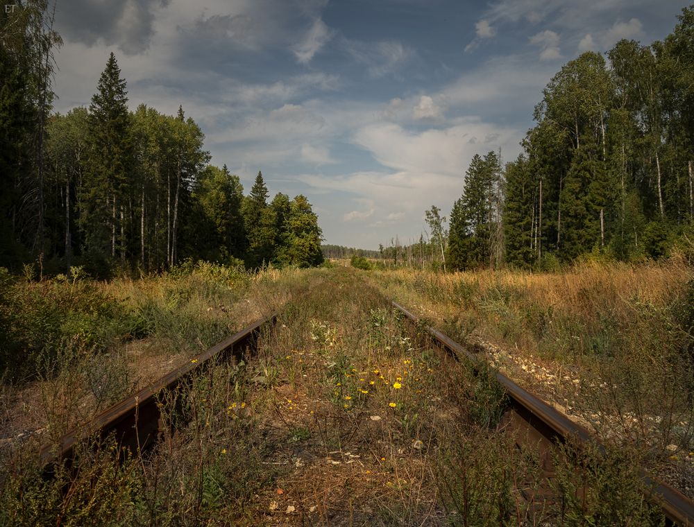 Photograph by Елена Тестова